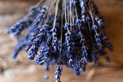 Título: Tamron 28-200mm F/2.8-5.6 - Zoom Compacto e Versátil