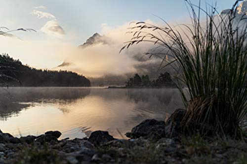 Título: Tamron 28-200mm F/2.8-5.6 - Zoom Compacto e Versátil