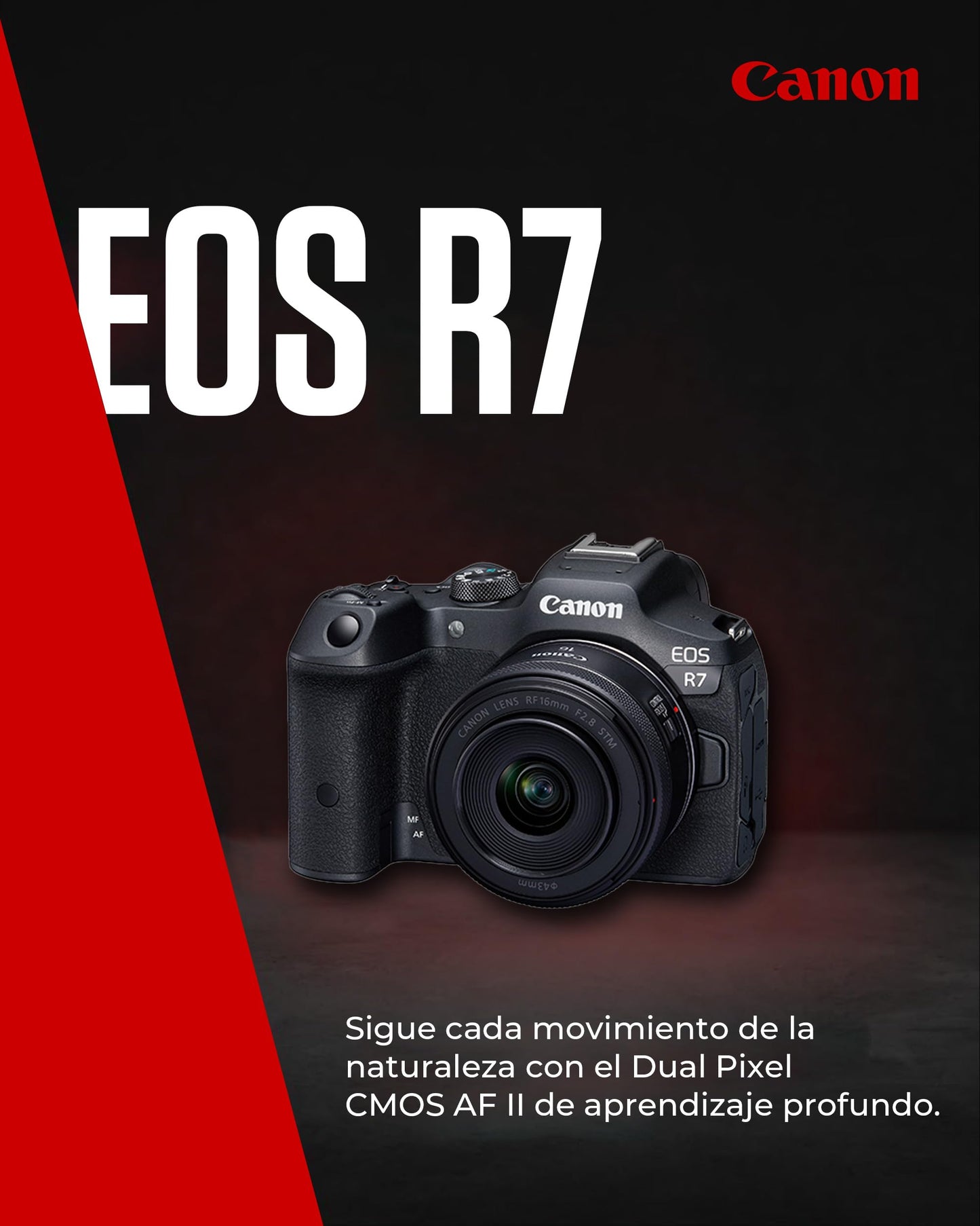 Canon EOS R7 - Câmera Mirrorless APS-C de 32,5MP, Vídeo 4K e Autofoco Avançado - Disponível EUROPA