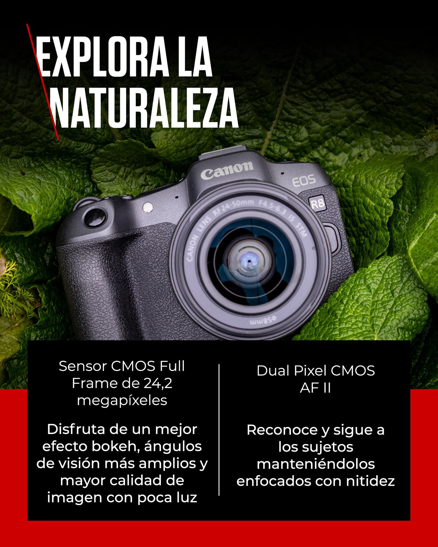 Canon EOS R8 - Câmera Mirrorless Full Frame 24,2MP com Vídeo 4K, Autofoco Avançado e Conectividade - Disponível EUROPA